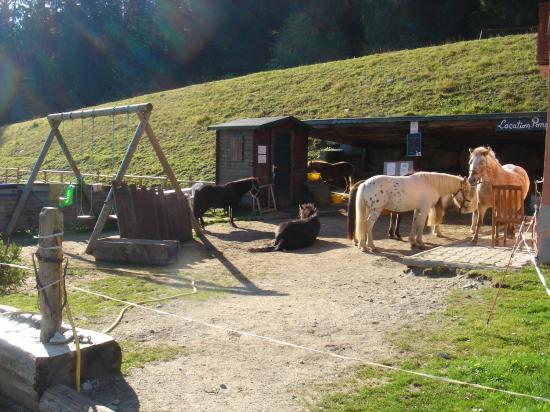 Le village des poneys